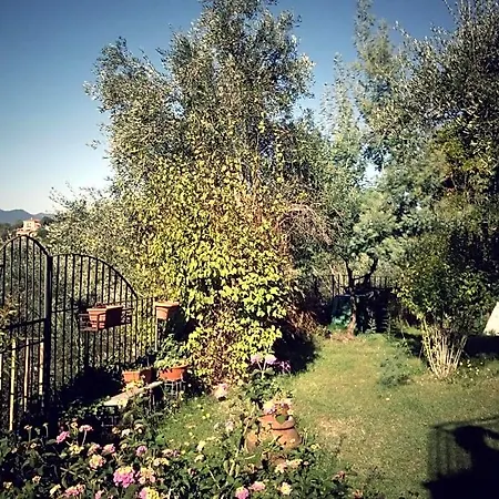 Ai Canarbin - Colline Di 3*
