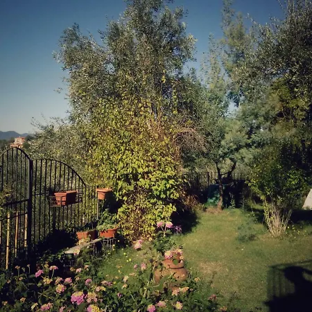 Ai Canarbin - Colline Di