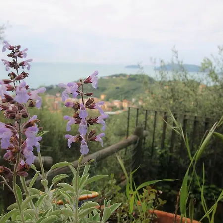 Ai Canarbin - Colline Di Lerici