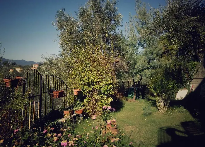 Ai Canarbin - Colline Di