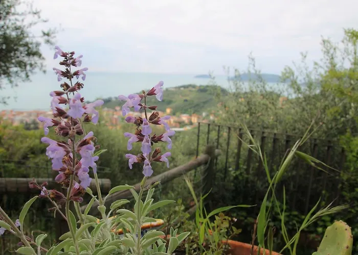 Ai Canarbin - Colline Di Lerici
